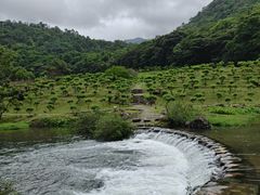 -广州市石门国家森林公园