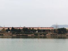-羊山湖公园