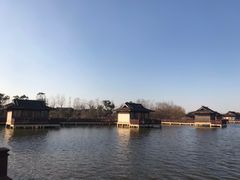 -杭州湾海上花田景区