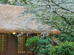 -中国茶叶博物馆(双峰馆区)