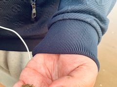 -青岛第三海水浴场