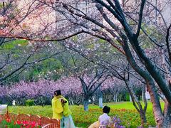 -白塘生态植物园