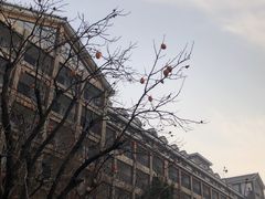 -观唐（国际）度假村温泉