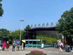 -黄海国家森林公园