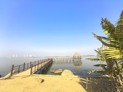 -瑶湖郊野森林公园