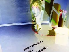 -胡桃里乐队酒馆(鎏嘉码头店)