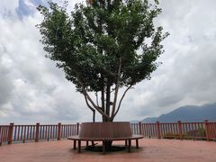 -大余丫山旅游度假区