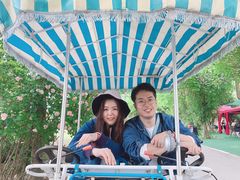 -鹅湖玫瑰文化园