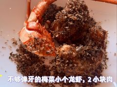 -广州富力君悦大酒店空中花园