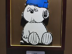 -史努比缤纷世界