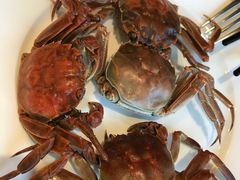 清蒸毛蟹-东方红海鲜百汇(国际大厦店)