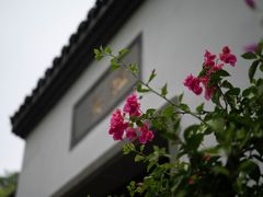 -杭州植物园