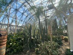-国家植物园