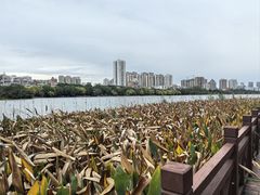 -南宁南湖公园