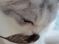 -怪兽屋·羊驼·猫咖·狗咖(俊华广场店)