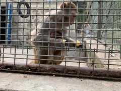 -南京金牛湖风景区