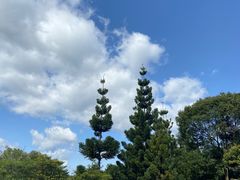 -福建鲤鱼洲酒店