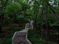 -沈阳森林动物园