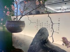 -望湘园·小雅(德基店)