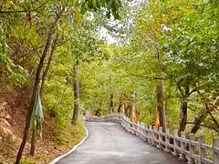 -大芦花风景区