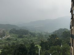 -成都蒲江花样年福朋喜来登度假酒店·宜客乐西餐厅