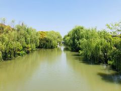 -同里国家湿地公园
