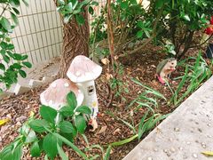 -风车面包