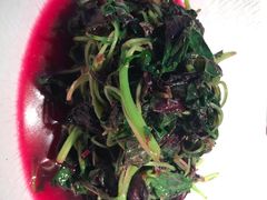 清炒米苋-凤凰湘语·湘粤鲜融(浦东旗舰店)