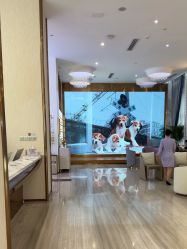 -深圳美莱医疗美容医院