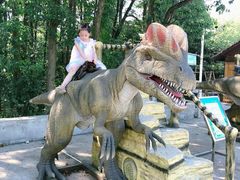 -洪湖悦兮半岛国际温泉度假村
