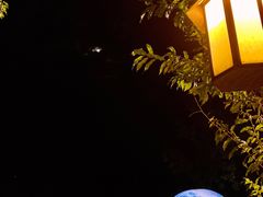 -天目湖涵田半山温泉