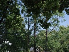 -J Create城市露营咖啡·简餐·宠物(上海动物园店)