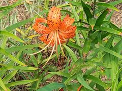 -国家植物园南园