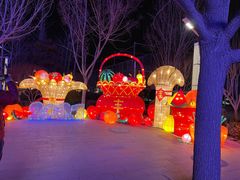 -南宫五洲植物乐园