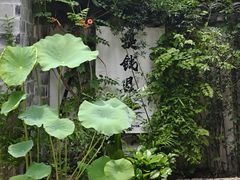 -新月集庭院咖啡馆(老邮局店)