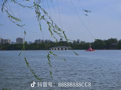 -天津水上公园