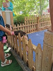 -萌宠亲子动物乐园(槐房万达店)