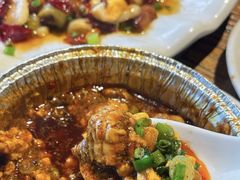 -老号尤兔头(幸福店)