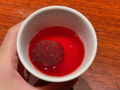 -龙吟山房(青龙山庄店)