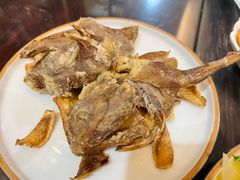 姜母鸽-堂宴·老厦门私房菜(1988仙岳总店)