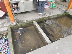 -源泉冷水鱼庄(小鱼洞店)