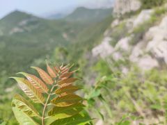 -佛慧山