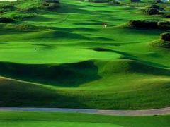 -滨海高尔夫俱乐部