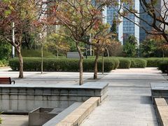 -九龙公园