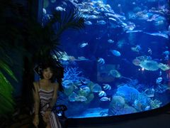 -暹罗海洋世界
