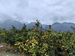 -庐山西海主景区