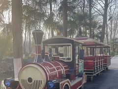 -合肥滨湖国家森林公园