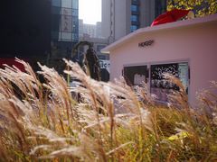 -HUGS coffee(东区店)