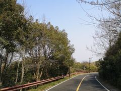 -宝界山林公园