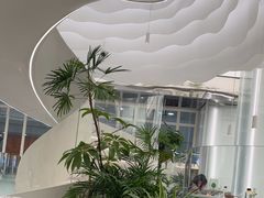 -大树餐厅(万达创始店)